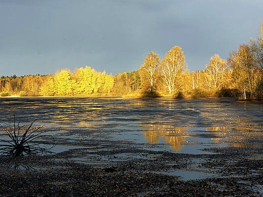08 Humlenský rybník